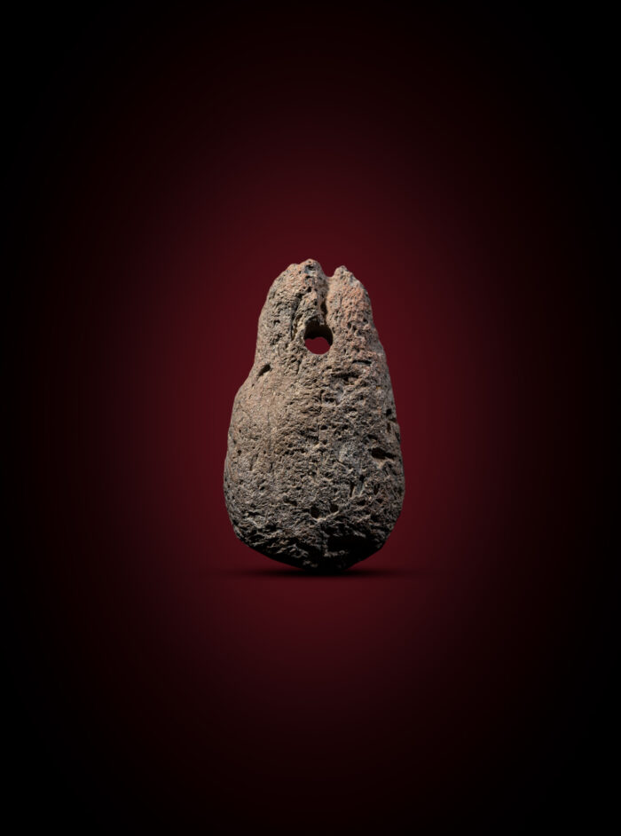 egypt zavazi